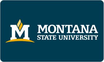 montana-state-university-logo